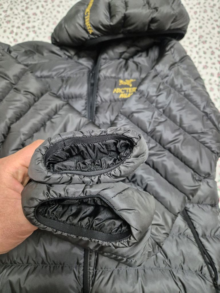 M) 아크테릭스 팔라스 세륨 lt 후디 이미지