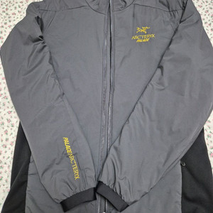 M) 아크테릭스 팔라스 아톰 Lt 자켓 이미지