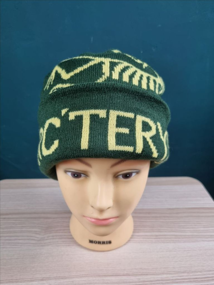 아크테릭스 비니 이미지