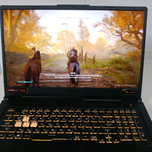 아수스 TUF 17.3인치 게이밍 노트북/라이젠7,RTX3060