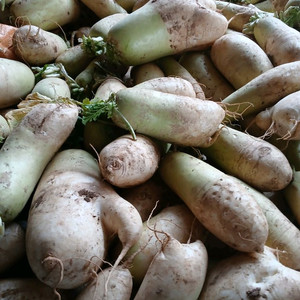 전남 황 토 밭 무우 1kg 600원 이미지