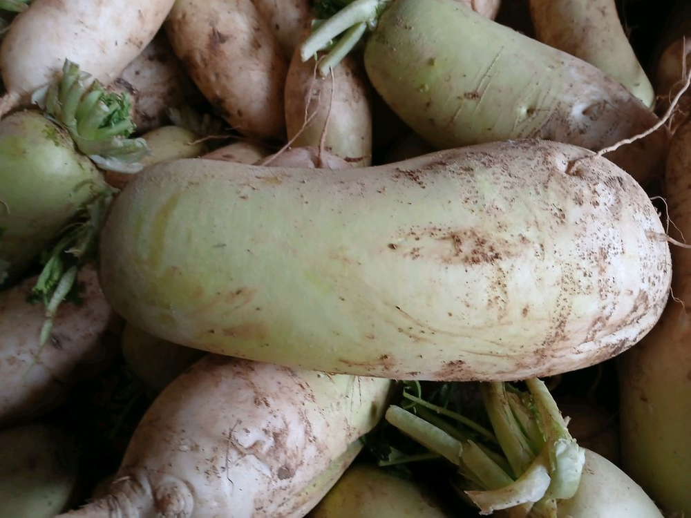 전남 황 토 밭 무우 1kg 600원 이미지