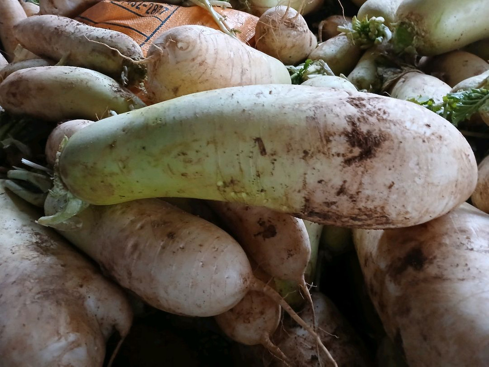 전남 황 토 밭 무우 1kg 600원 이미지