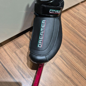 시티런 스케이트 250