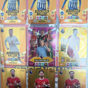 파니니 골든볼러 축구카드 이미지