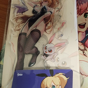 던파 바니바니 패러메딕 아크릴+쿠폰 판매해요 이미지