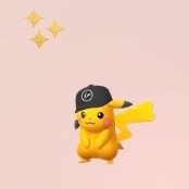 구매/// 포켓몬고 코스튬 이로치