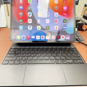 부산)아이패드 프로 M5 1TB 셀룰러 스그 애플케어 이미지