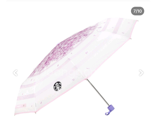 스타벅스/타월/참/베어리스타/3단우산--5