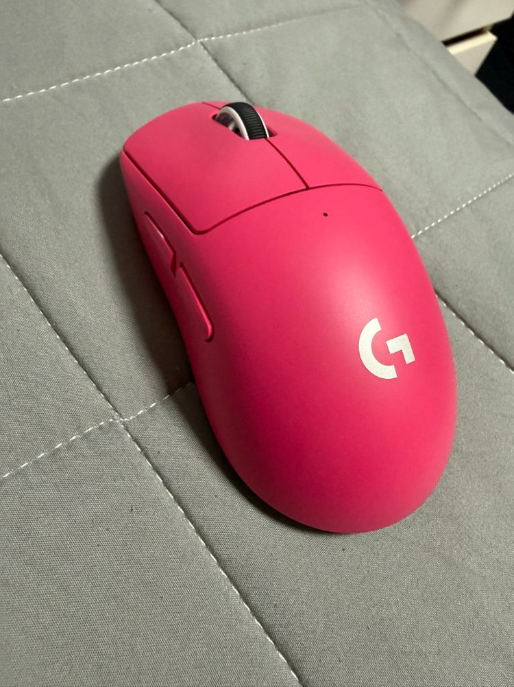 지슈라2 핑크--1