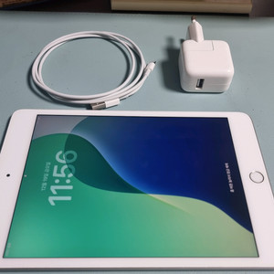 아이페드 미니 5세대 256G 셀룰러