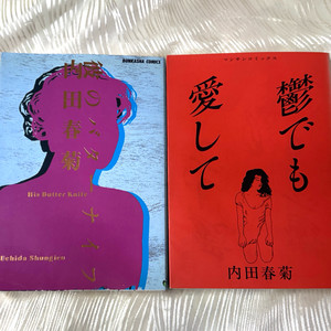 희귀만화 우치다 슌기쿠 여성만화 인디만화 일본판