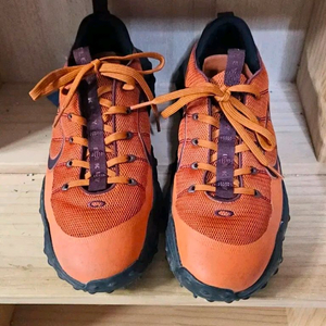 [270]오클리 엣지 플렉스 스니커즈 진저