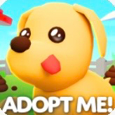 입양하세요 펫 다 삽니당! 이미지