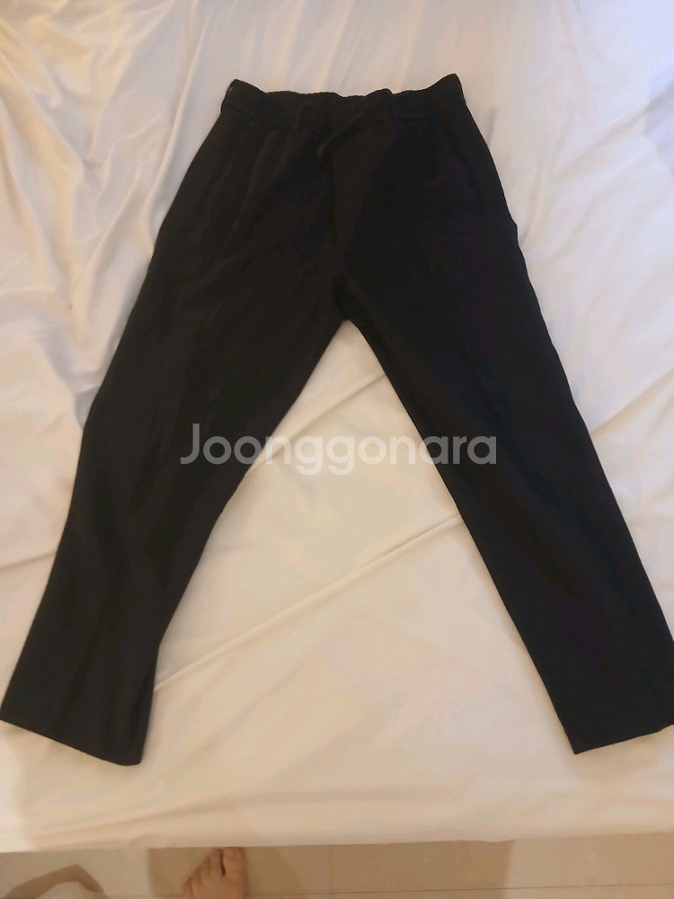 타임옴므 FW 팬츠 2종 / 82--1