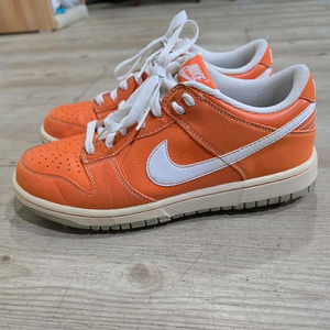 나이키골프 덩크 로우 골프화 245mm