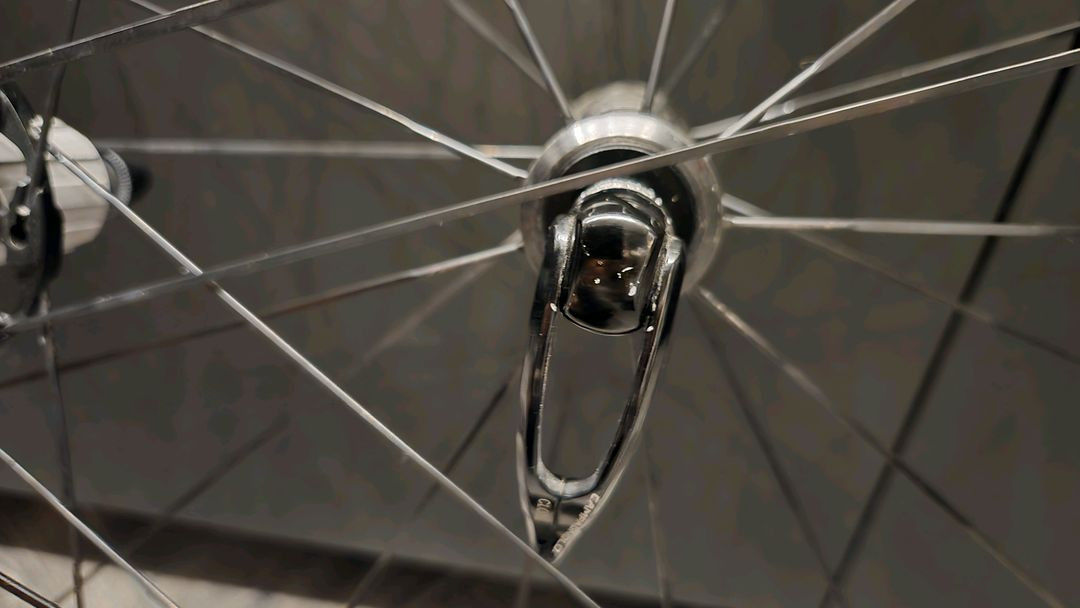 캄파놀로 보라 울트라 이미지