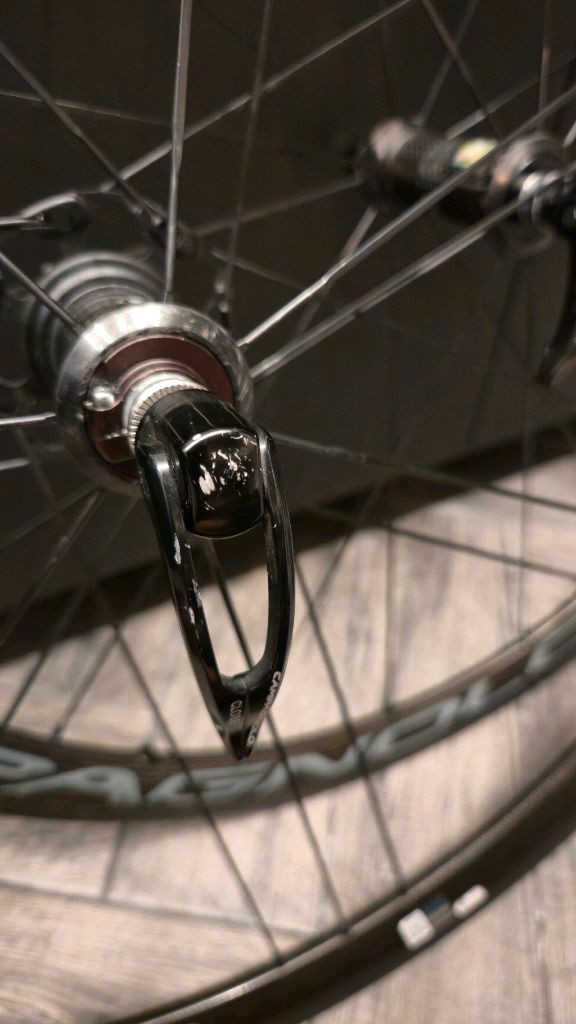 캄파놀로 보라 울트라 이미지