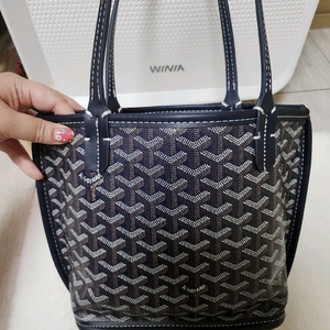 고야 미니앙쥬 2번착용