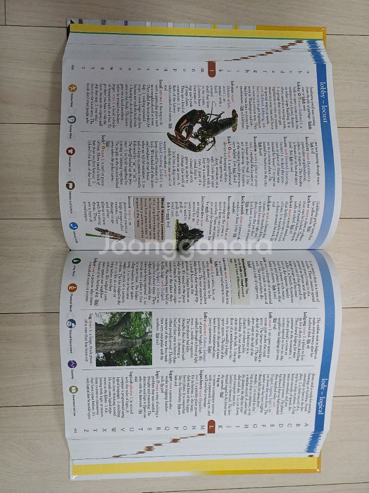 어린이 영영사전 & 영어백과사전--3