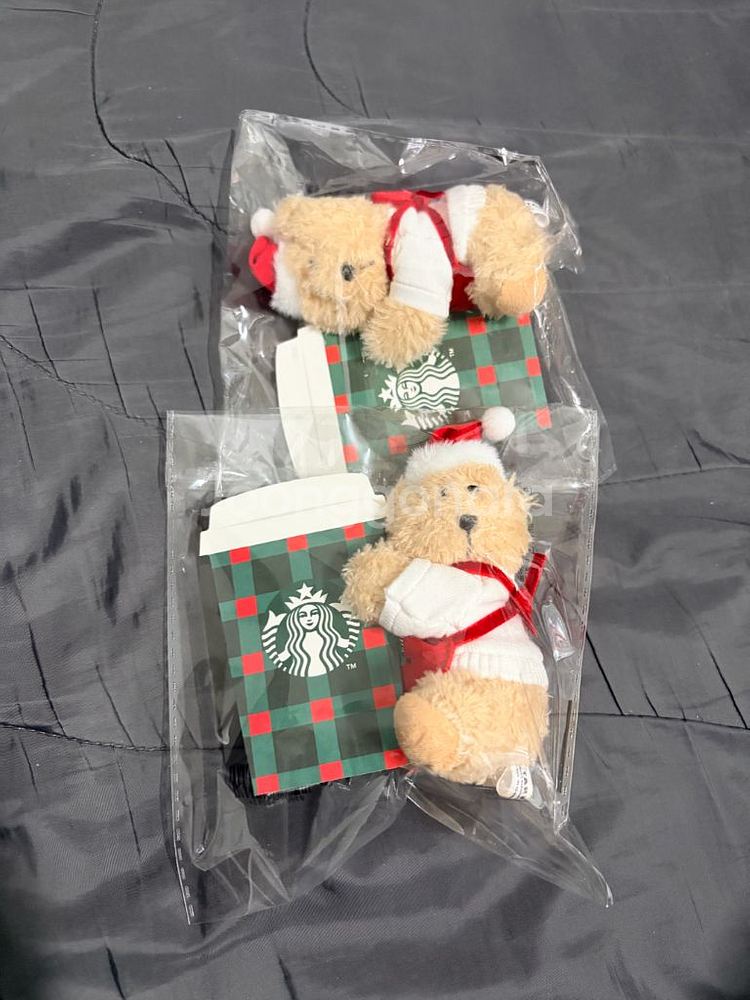 스타벅스 베어리스타 메시지 카드--1