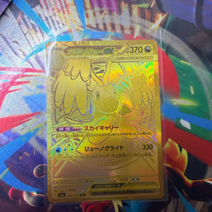 메가 망나뇽 mur 이미지