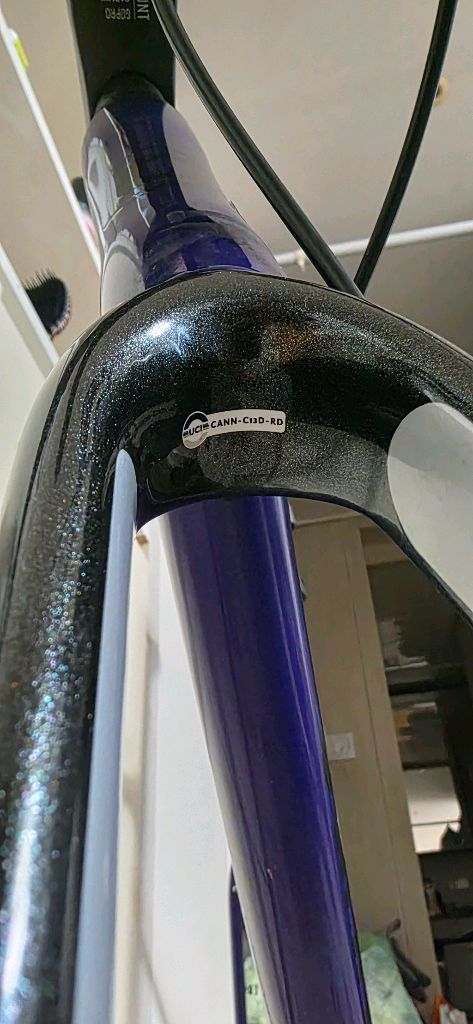 캐논데일 캐드13 56 사이즈(+알리 카본 핸들바)--6