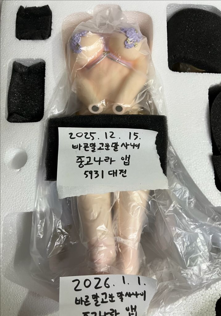 Art of eden 니코 로빈, Chiyan 마키마, ro히나타, Dt ume 알트리아, 도도모 요르, 도도모--5