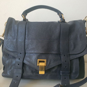 프로엔자슐러 판쵸백