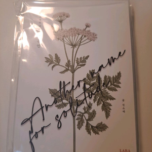 로설 로맨스소설 개인지 진소예 홍연