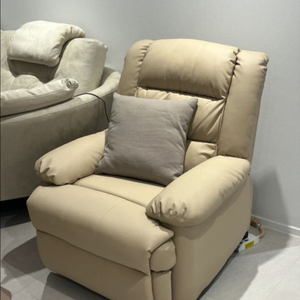 바네스데코 1인용 베이 전동 리클라이너 소파 가죽 안락의자