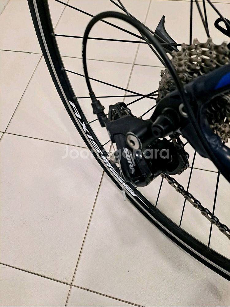 소라구동계/스페셜라이즈드.삭소뱅크.로드(오늘5시까지만:19만원--6