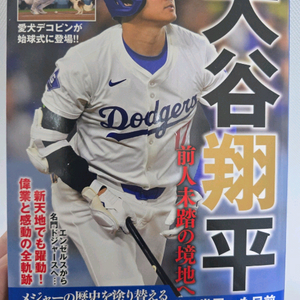 오타니 기획 책