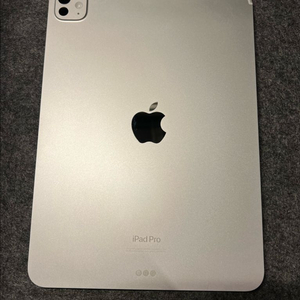 아이패드 프로 11인치 M4 256GB + 애플펜슬프로