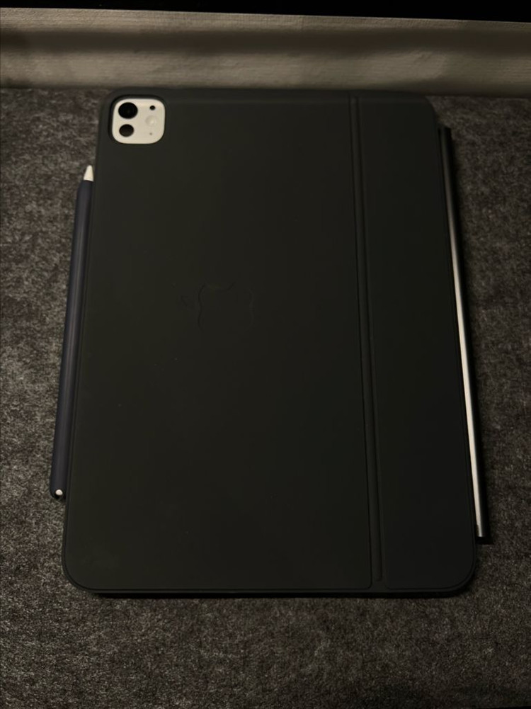 아이패드 프로 11인치 M4 256GB + 애플펜슬프로--1