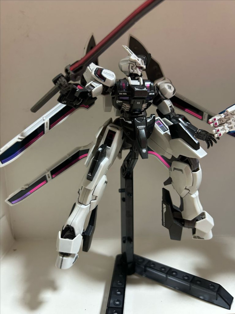 반다이 HG 풀 도색작 2종 일괄 팝니다(르브리스지우,슈바르제테) 이미지