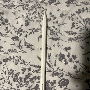 애플 펜슬 2세대