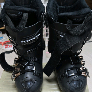 아토믹 혹스 마그나 220