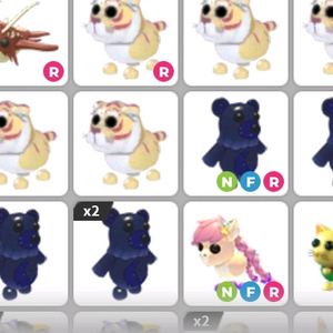 입양하세요 펫들 이미지