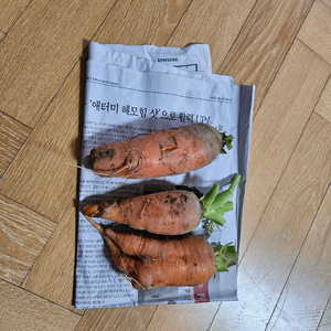 스타벅스 프리퀀시 5개 일반