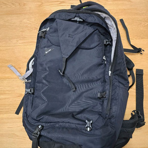 팩세이프 65L가방 pacsafe 65l Venturesafe EXP65팝니다
