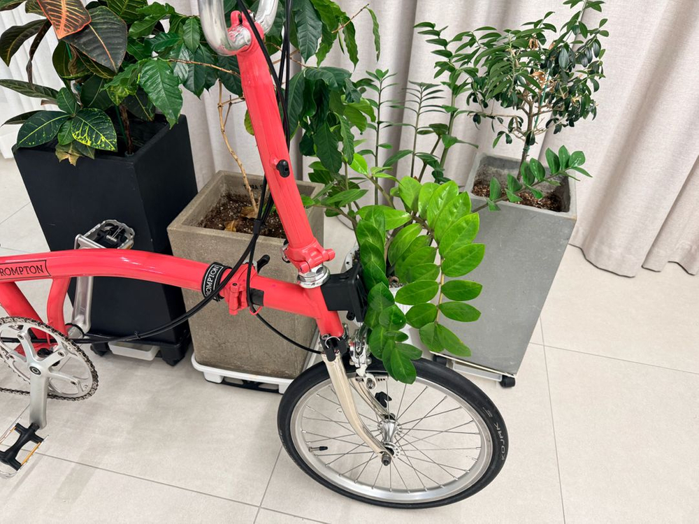 브롬톤 플라밍고 M바 크롬도금 판매--3