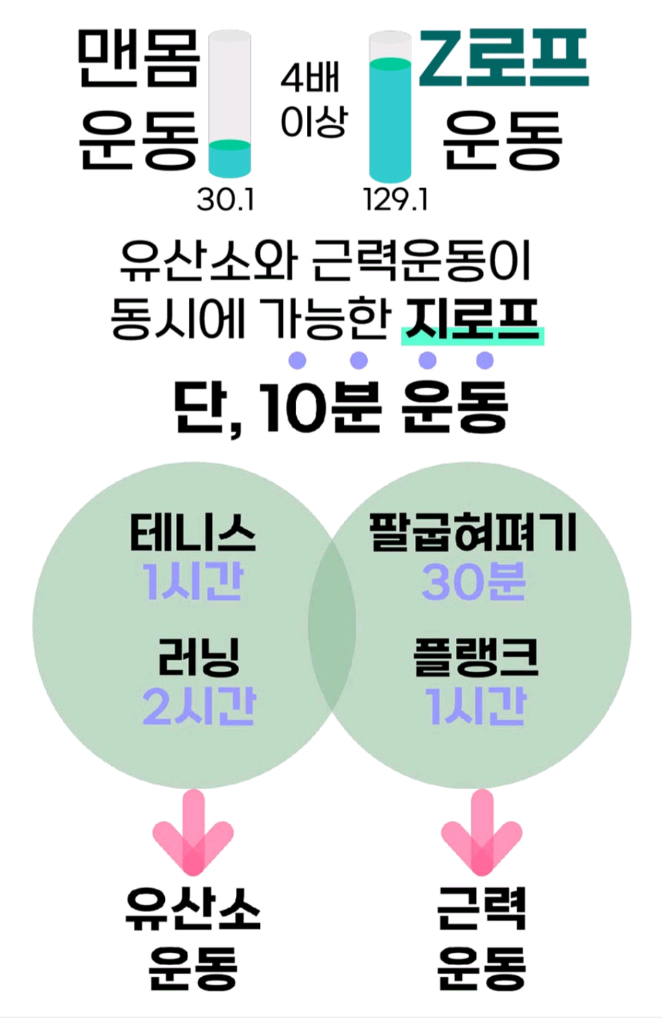 제스트업 z로프 지로프 운동기구--2