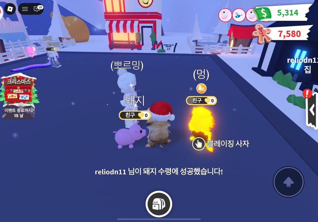 입양하세요 타는 돼지 이미지