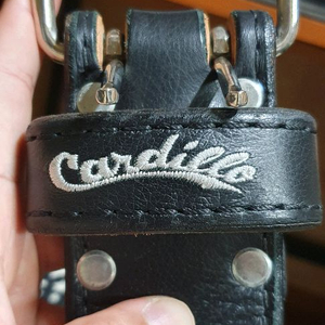 카딜로310dl M사이즈 구형