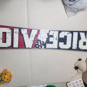 2122라이스28 다이버스152 데크 팝니다