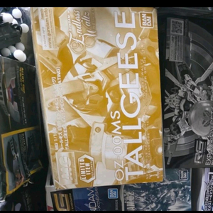 반다이 MG 엑스포 한정판 리써큘레이션, 클리어, 스코 건담 프라모델 이미지