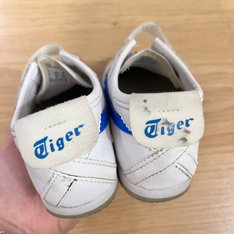 오니츠카 타이거 210--2