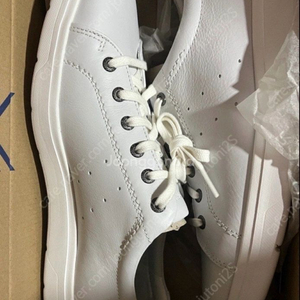 락포트 스니커즈 토탈레이스 270