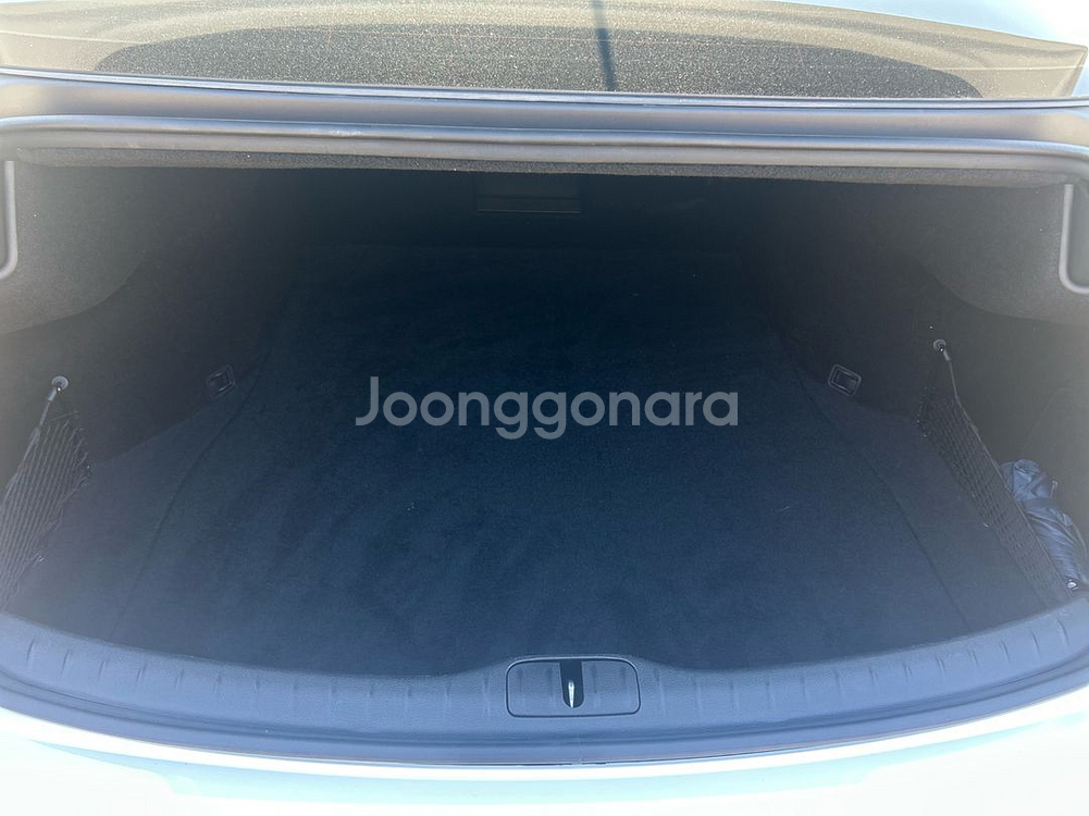 제네시스 G80 RG3 (개인)--9